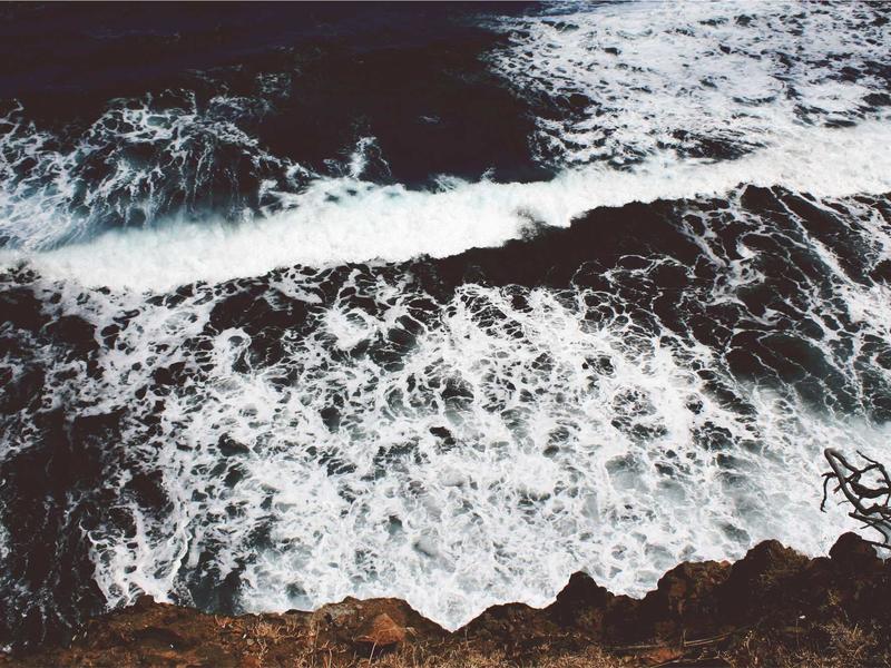 Bodega Estándar (M) Pereira